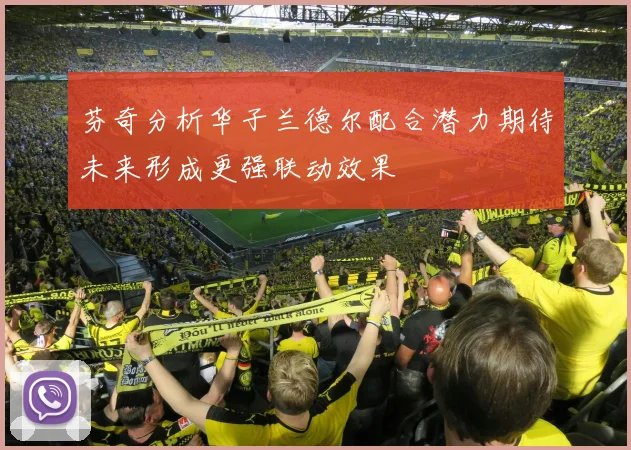 芬奇分析华子兰德尔配合潜力期待未来形成更强联动效果